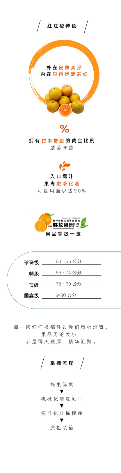 紅江橙（精品裝5KG）