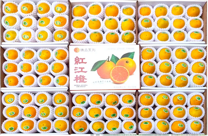 紅江橙（精品裝5KG）